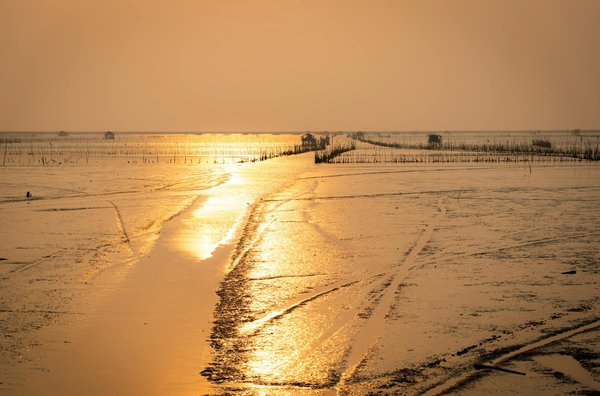 Comment choisir une croisière qui propose des visites des sites archéologiques en Égypte?
