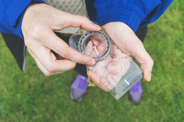 Quelles croisières offrent des excursions pour découvrir les fjords en Patagonie?